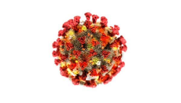 coronavirus