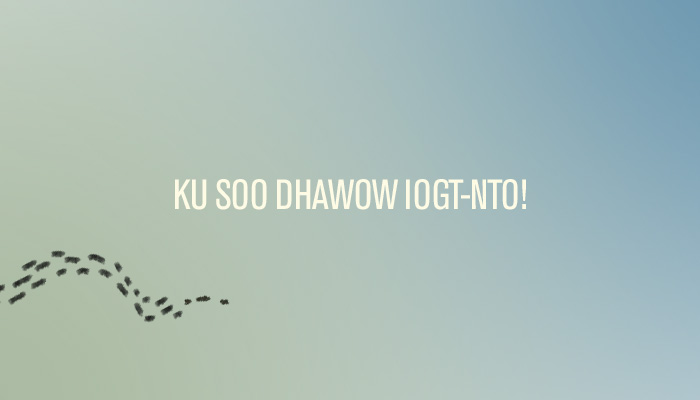 IOGT-NTO på somaliska